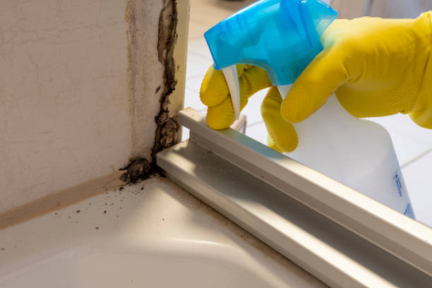 Best Commercial Mold Removal  in Olney, MD