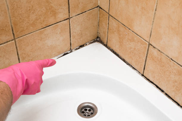 Crawl Space Mold Removal in Olney, MD